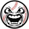 bearssportscards