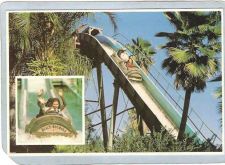 Buy FL Tampa Amusement Park Postcard Busch Gardens Flume Over Stanley Falls to~82