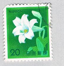 Buy Japan Flower green 20s (AP134511)