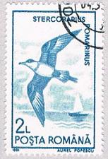Buy Romania Gull 2 (AP108505)