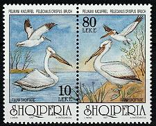 Buy Albania 1997. Fauna, Birds - Pelicanus crispus bruch. Set MNH. Mich. 2617-8