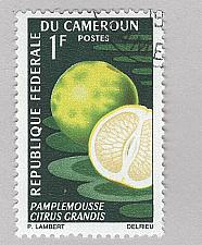 Buy Cameroun 460 Grapefruit Used (BP93816)