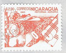 Buy Nicaragua Cotton orange 300c (AP121415)-2