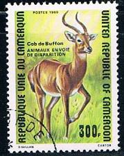 Buy Cameroun 679 Used Buffon de Kob 1980 CV 1.20 (C0256)+