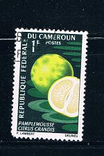 Buy Cameroun 460 Used Grapefruit 1967 (C0216)+