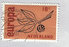 Buy Netherlands Used Europa orange 18 flower (BP87628)