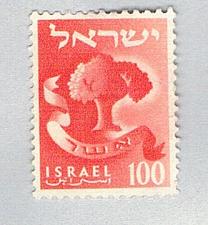 Buy Israel Used Tree (BP79024)