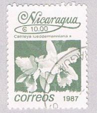 Buy Nicaragua Hibiscus 10 (AP107923)
