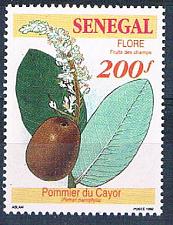 Buy Senegal 1034 Unused Fruit Plant 1992 CV 1.60 (S0803)+