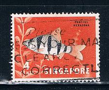 Buy Singapore 54 Used Tropical Fish (S0274)