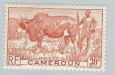 Buy Cameroun 305 Zebu and Herder MLH (BP94110)
