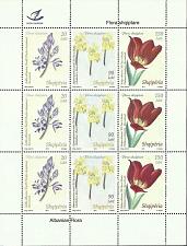 Buy Albania 2013. Flora Tulipa albanica Seilla Albanien Gymnospermium maloi. Sheet