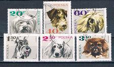 Buy Poland 1636-21 Used Dogs 1969 CV 1.85 (P0353)