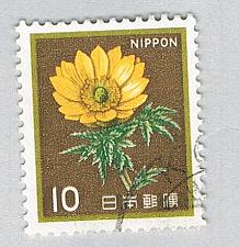 Buy Japan Flower brown 10s 1 (AP134523)