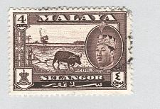 Buy Mayala Selangor 116 1957 Sultan Aziz Used (BP89516)