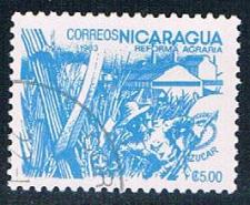 Buy Nicaragua Sugar cane 5 (NP7R404)
