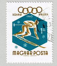 Buy Hungary Used Skier teal 1 (BP88016)