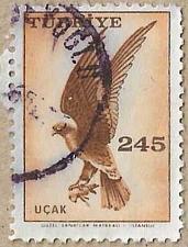 Buy Hawk - 16312