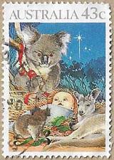 Buy Koala - 16633
