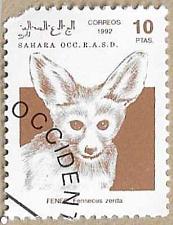 Buy Fennec fox - 16792