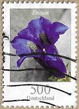 Buy Stemless Gentian - 16824