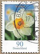 Buy Flowers - Narzisse - 16932