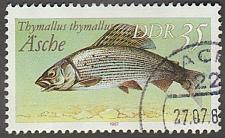 Buy Germany DDR Used Scott #2610 Catalog Value $.35