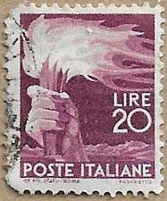 Buy Flaming Torch - 17053