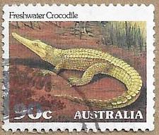 Buy Freshwater Crocodile - 17107