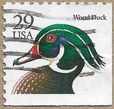 Buy Wood Duck - 17207