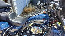 Buy 2007 HARLEY-DAVIDSON ULTRA GLIDE FIREFIGHTER/PEACE OFFICER EDITION Buy 2007 HARLEY-DAVIDSON ULTRA GLIDE FIREFIGHTER/PEACE OFFICER EDITION