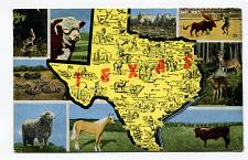 Buy Texas - map and multi view