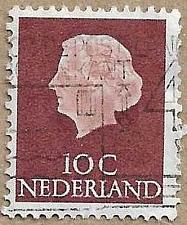 Buy Queen Juliana - 17333