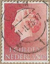 Buy Queen Juliana - 17343