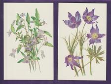 Buy Pair of Russian Postcards featuring plant & flower illustrations - 2 scans