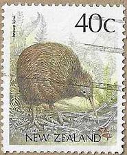 Buy Brown Kiwi - 17455