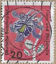 Buy Columbine - 17475