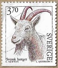 Buy Allmogeget Goat - 17499