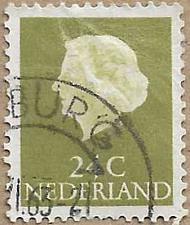 Buy Queen Juliana - 17531