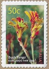 Buy Bush Tango kangaroo paw - 17552