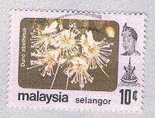 Buy Malaysia Selangor 138 Used Durio zibethinus (BP2469)