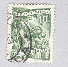 Buy Yugoslavia 382 Fruit Growing Used (BP95128)