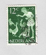 Buy Ireland Girl feeding chickens Used (BP93019)