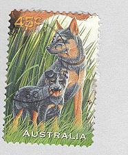 Buy Australia 1562 Dogs Used (BP95825)