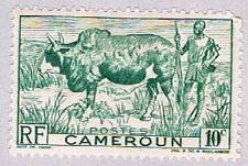 Buy Cameroun 304 MLH Cattle 1946 (BP36224)
