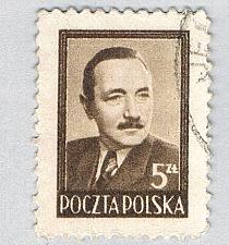 Buy Poland Man brown 5za (AP134915)