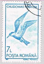 Buy Romania Gull 7 (AP108308)