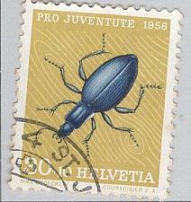 Buy Switzerland B260 Ground Beetle Used 1 (BP97936)