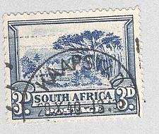 Buy South Africa 39a Groote Schuur Used 3 (BP95020)