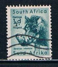 Buy South Africa 200 Used Wart Hog (S0464)